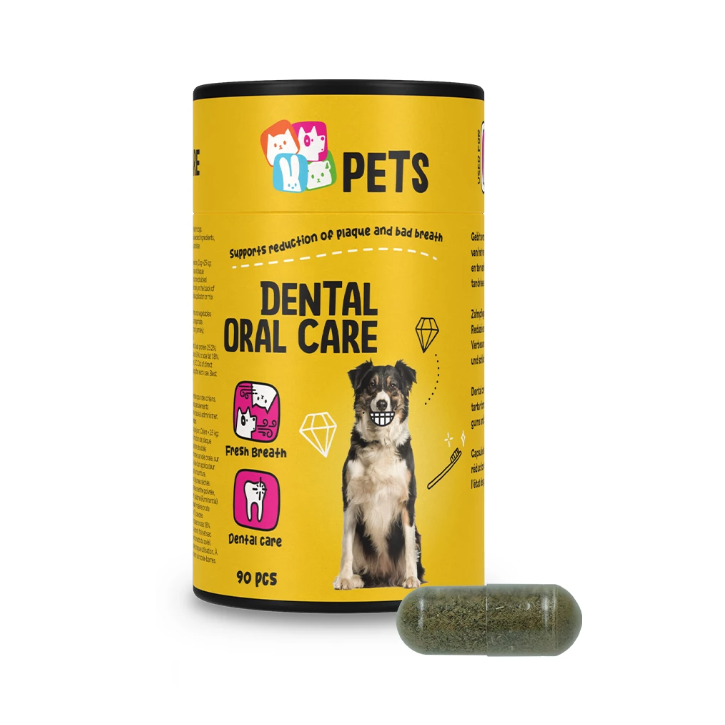 Dental Care, Honden, Tandenverzorging, Hond, Dental, Verzorging, Huisdier, Tanden, Gebitsverzorging, Dog